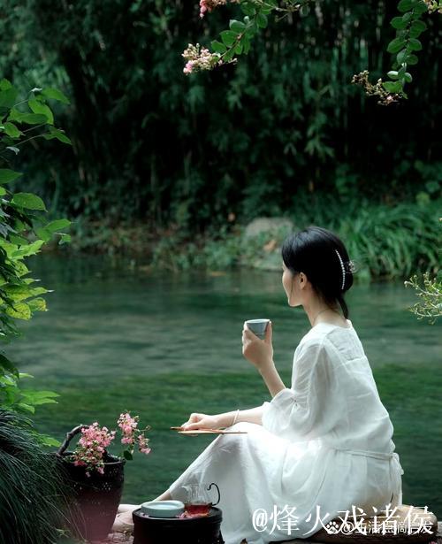 青青草伊人：邂逅心灵深处的静谧时光